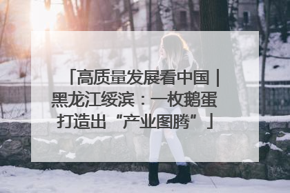 高质量发展看中国｜黑龙江绥滨：一枚鹅蛋打造出“产业图腾”