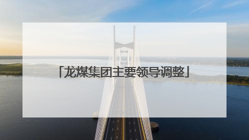 龙煤集团主要领导调整