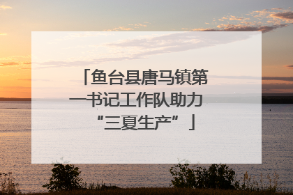 鱼台县唐马镇第一书记工作队助力“三夏生产”