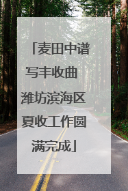 麦田中谱写丰收曲 潍坊滨海区夏收工作圆满完成
