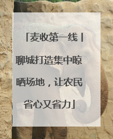 麦收第一线丨聊城打造集中晾晒场地，让农民省心又省力