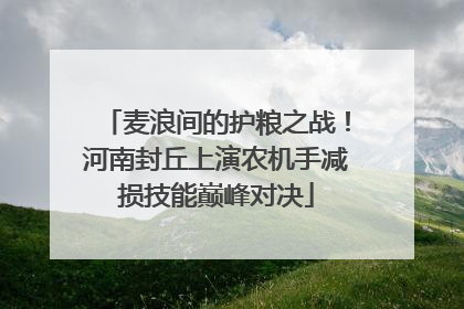 麦浪间的护粮之战！河南封丘上演农机手减损技能巅峰对决