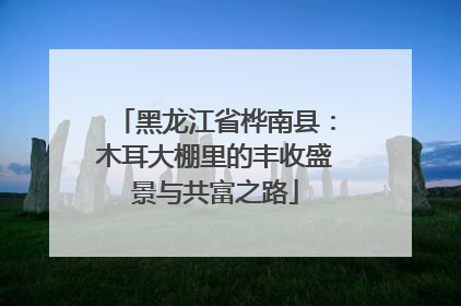 黑龙江省桦南县：木耳大棚里的丰收盛景与共富之路