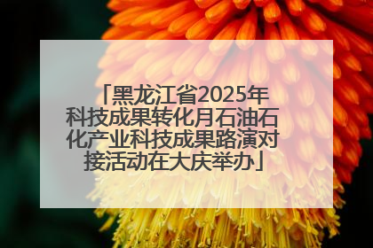 黑龙江省2025年科技成果转化月石油石化产业科技成果路演对接活动在大庆举办