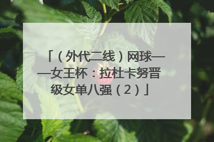 （外代二线）网球——女王杯：拉杜卡努晋级女单八强（2）