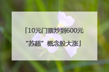 10元门票炒到600元 “苏超”概念股大涨
