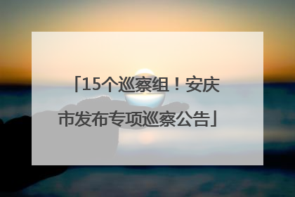 15个巡察组！安庆市发布专项巡察公告