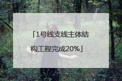 1号线支线主体结构工程完成20%