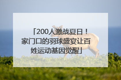 200人激战夏日！家门口的羽球盛宴让百姓运动基因觉醒