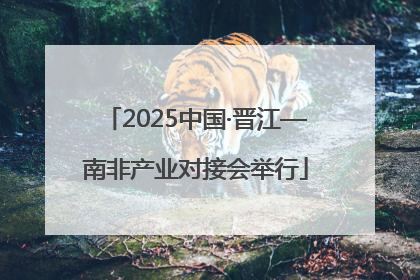 2025中国·晋江—南非产业对接会举行