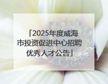 2025年度威海市投资促进中心招聘优秀人才公告