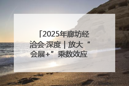 2025年廊坊经洽会·深度｜放大“会展+”乘数效应 打造消费新场景