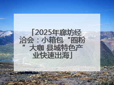 2025年廊坊经洽会：小箱包“圈粉”大咖 县域特色产业快速出海