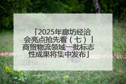 2025年廊坊经洽会亮点抢先看（七）丨商贸物流领域一批标志性成果将集中发布