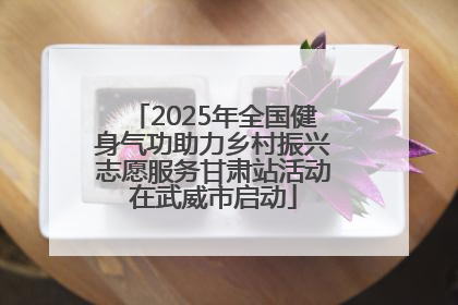 2025年全国健身气功助力乡村振兴志愿服务甘肃站活动在武威市启动