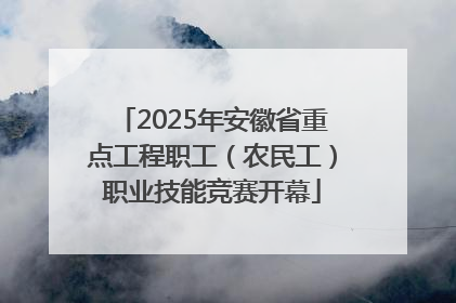 2025年安徽省重点工程职工（农民工）职业技能竞赛开幕