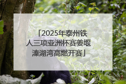 2025年泰州铁人三项亚洲杯赛姜堰溱湖湾高燃开赛