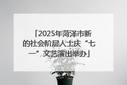 2025年菏泽市新的社会阶层人士庆“七一”文艺演出举办