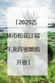 2025吉林市松花江端午龙舟赛燃情开赛