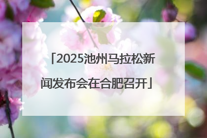 2025池州马拉松新闻发布会在合肥召开