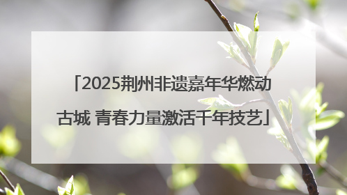 2025荆州非遗嘉年华燃动古城 青春力量激活千年技艺