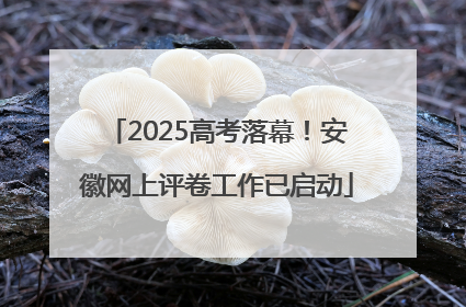 2025高考落幕！安徽网上评卷工作已启动