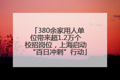 380余家用人单位带来超1.2万个校招岗位，上海启动“百日冲刺”行动