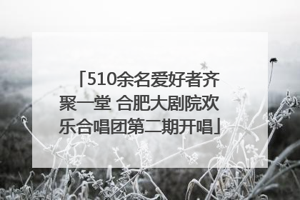 510余名爱好者齐聚一堂 合肥大剧院欢乐合唱团第二期开唱