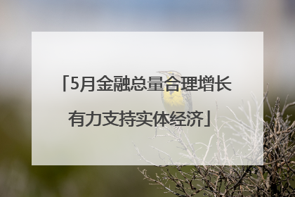 5月金融总量合理增长 有力支持实体经济
