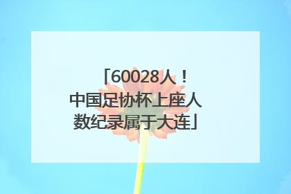 60028人！中国足协杯上座人数纪录属于大连