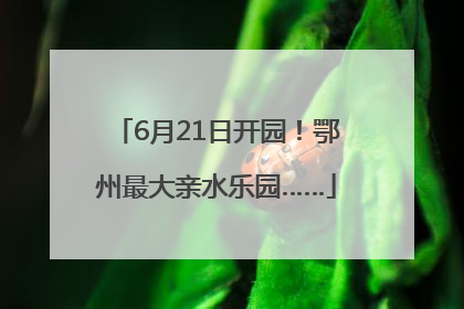6月21日开园！鄂州最大亲水乐园……