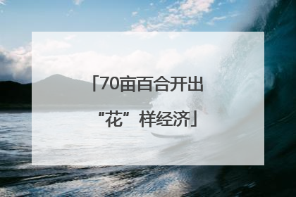 70亩百合开出“花”样经济