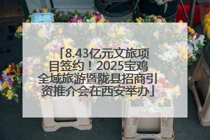 8.43亿元文旅项目签约！2025宝鸡全域旅游暨陇县招商引资推介会在西安举办