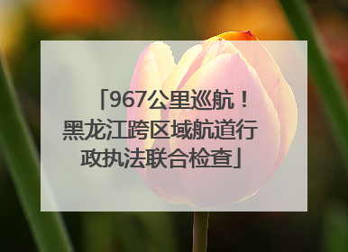 967公里巡航！黑龙江跨区域航道行政执法联合检查