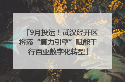 9月投运！武汉经开区将添“算力引擎”赋能千行百业数字化转型
