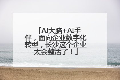 AI大脑+AI手伴，面向企业数字化转型，长沙这个企业太会整活了！