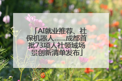 AI就业推荐、社保机器人……成都首批73项人社领域场景创新清单发布