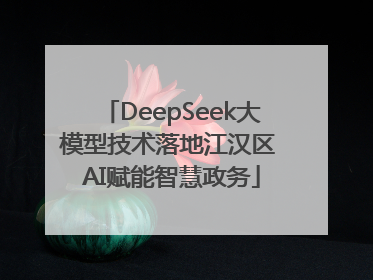 DeepSeek大模型技术落地江汉区 AI赋能智慧政务
