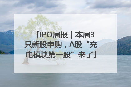 IPO周报｜本周3只新股申购，A股“充电模块第一股”来了