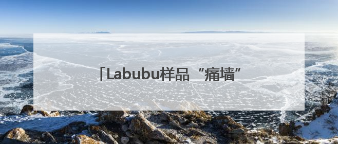 Labubu样品“痛墙”成打卡地标！开业4天已被挤爆，堪比早高峰菜市场