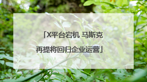 X平台宕机 马斯克再提将回归企业运营